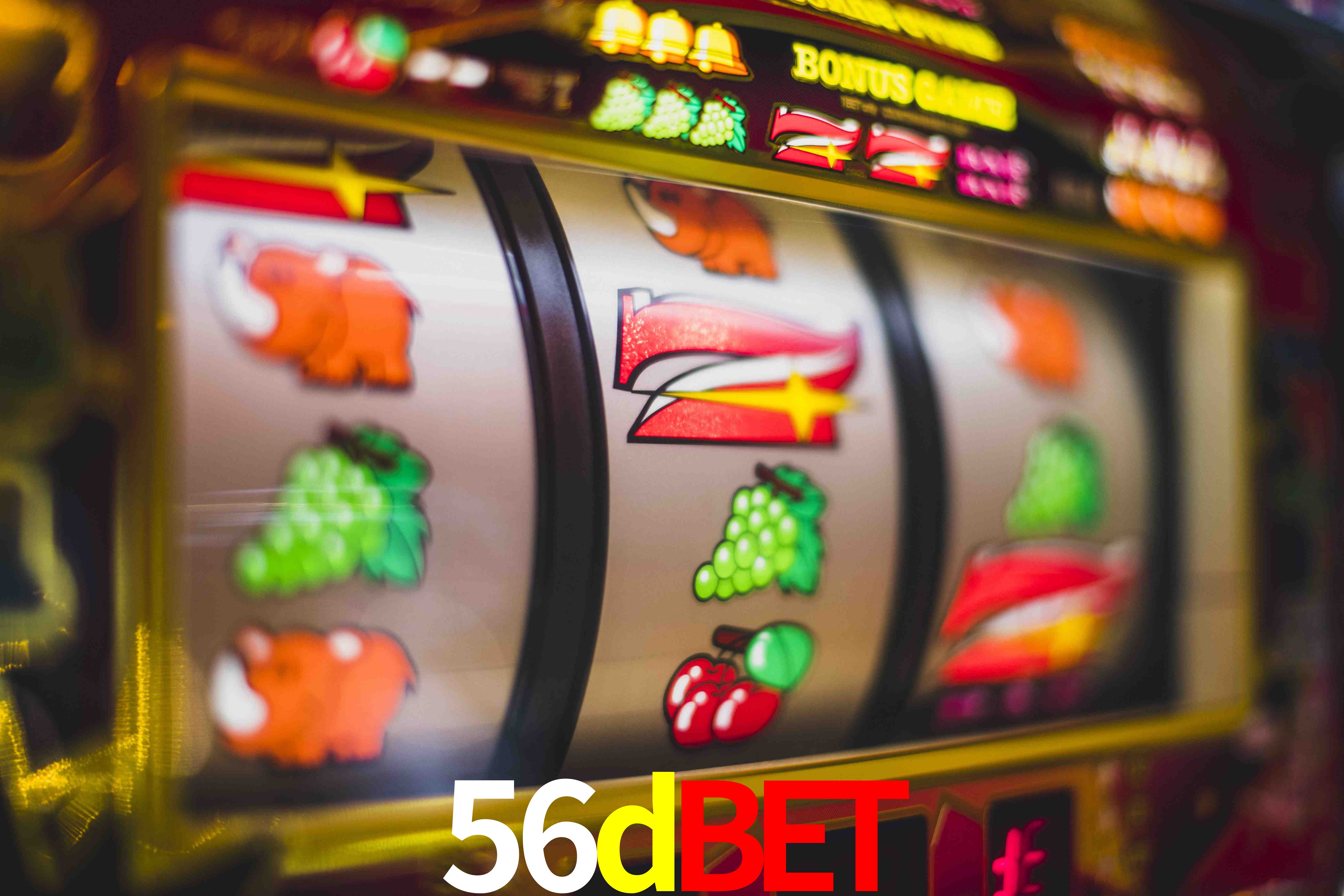 Sports Statistics 56dbet